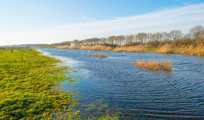 Shore of a sunny lake in autumn
