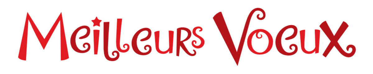Bannière "MEILLEURS VOEUX"