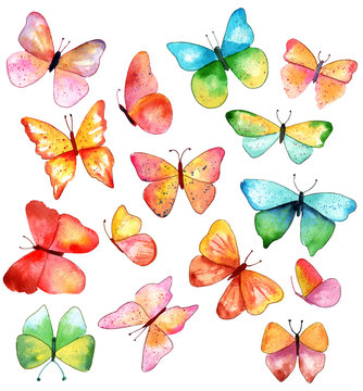 15 watercolor butterflies in various colors and shapes, on white backround