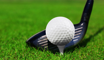 Golf club and ball on a green grass, close up
