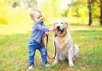 Little boy child playing with Golden Retriever dog on grass in p