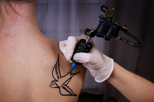 Tattooist draws swallow on the woman's right shoulder-blade, close up