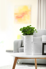 Beautiful green chrysanthemums in vase on table in room