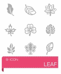 Fototapeta na wymiar Vector Leaf icon set
