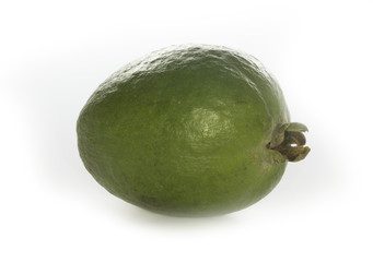 feijoa isolated