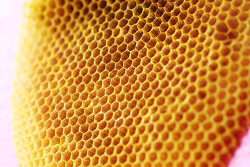 honey comb as background.