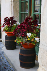 Fototapeta na wymiar Flowers in a pot on a barrel by the window