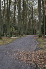 Weg durch den Waldfriedhof