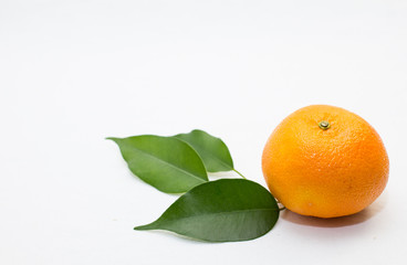 isolated clementine on  a white background 