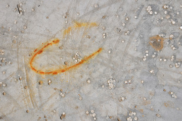 Concrete with rusty spot and polystyrene on cement