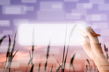 Human hand write on the screen.sunset/grass flower with sunset background.