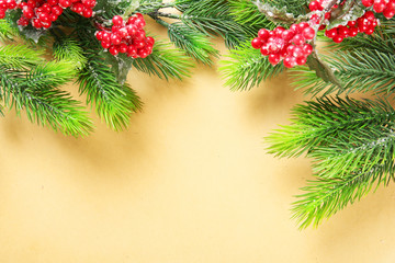 Christmas fir tree branches with rowan on paper background