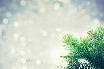 Abstract winter festive background for Christmas and new year for your design. A Christmas card with a fir tree branch on a snow background with bokeh