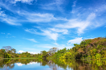 Fototapeta na wymiar Amazon Jungle in Brazil