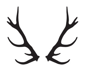 Fototapeta premium black silhouette of antlers