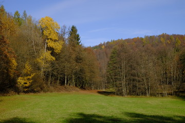 Nördlicher Steigerwald im Herbst, Unterfranken, Bayern, Deutsch
