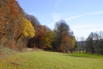 Nördlicher Steigerwald im Herbst, Unterfranken, Bayern, Deutsch