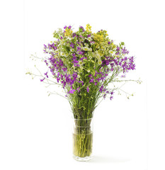 Summer flowers on white