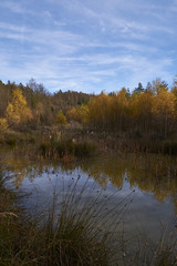 Nördlicher Steigerwald im Herbst, Unterfranken, Bayern, Deutsch
