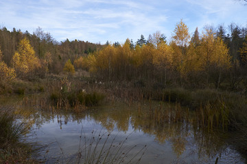 Nördlicher Steigerwald im Herbst, Unterfranken, Bayern, Deutsch