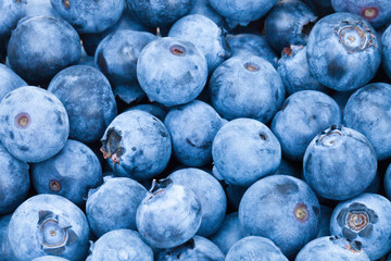 Bunch of fresh blueberries - studio shot
