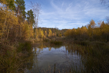 Nördlicher Steigerwald im Herbst, Unterfranken, Bayern, Deutsch