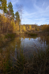 Nördlicher Steigerwald im Herbst, Unterfranken, Bayern, Deutsch