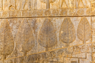 Wall relief in Persepolis