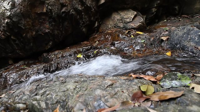 Clean  fresh flowing water  of a forest stream running over mossy rocks 
