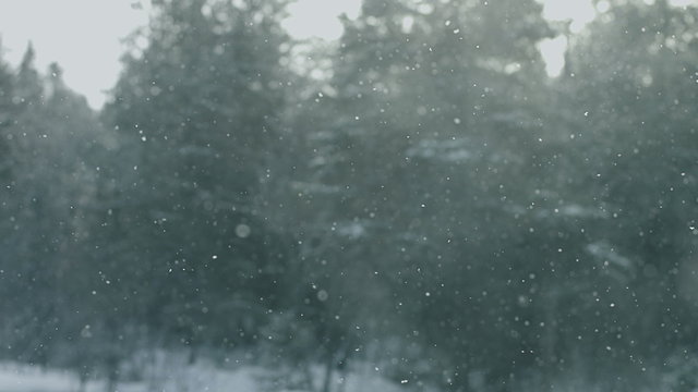 Magical and Fairy Blue Snowy Background of a Snowstorm