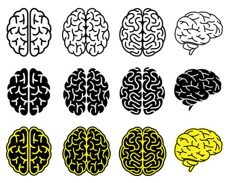 Set of human brains. Vector illustration.