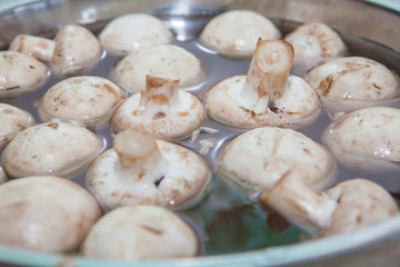 mushrooms in the bowl