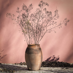 plant in a flowerpot on the floor and a pink wall