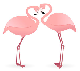 Two flamingos