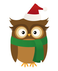 Owl dressed up for Christmas