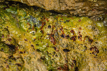 Atlantic coast in the details. Morocco.