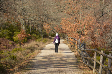 paseando por un camino de montaña