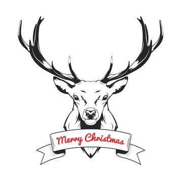 Christmas Deer vector illustration