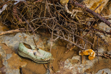 What all ocean washes up.