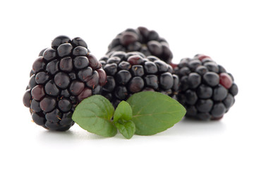 Blackberries with leaves