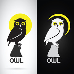 Vector image of an owl design on white background and black back