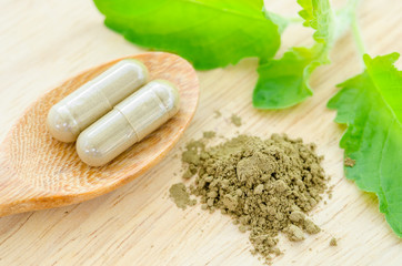 herbal medicine powder and capsules with green organic herb leav