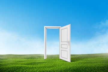White door on a green grass field with blue sky background