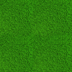 Obraz na płótnie Canvas Green lawn grass background texture high resolution