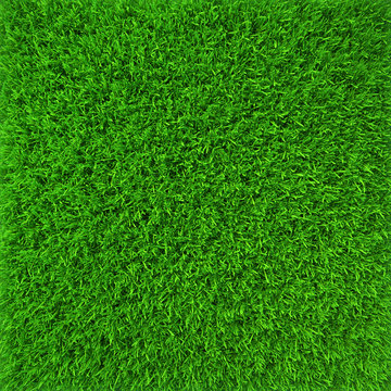 Green lawn grass background texture close-up. 3d render