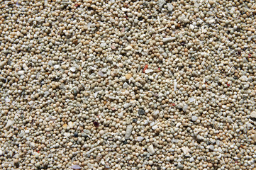 Pepper Sands
