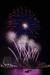 Fireworks over Marina Bay

