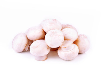 Agaricus bisporus on white background