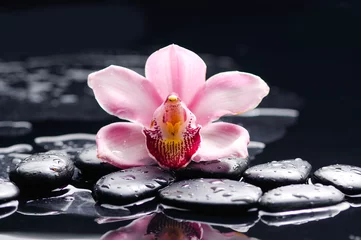 Rolgordijnen Zen stones and orchid © Mee Ting