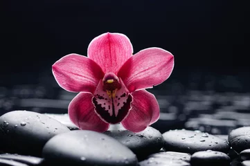 Dekokissen Orchideen- und Therapiesteine © Mee Ting